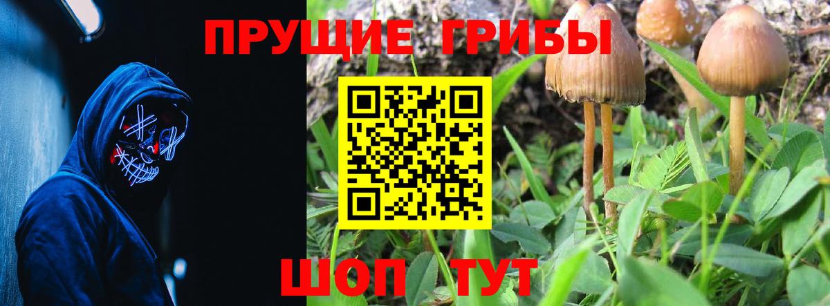 Галлюциногенные грибы Psilocybine cubensis  наркота  Карпинск  Вход с VPN  Галлюциногенные грибы ЛСД 
